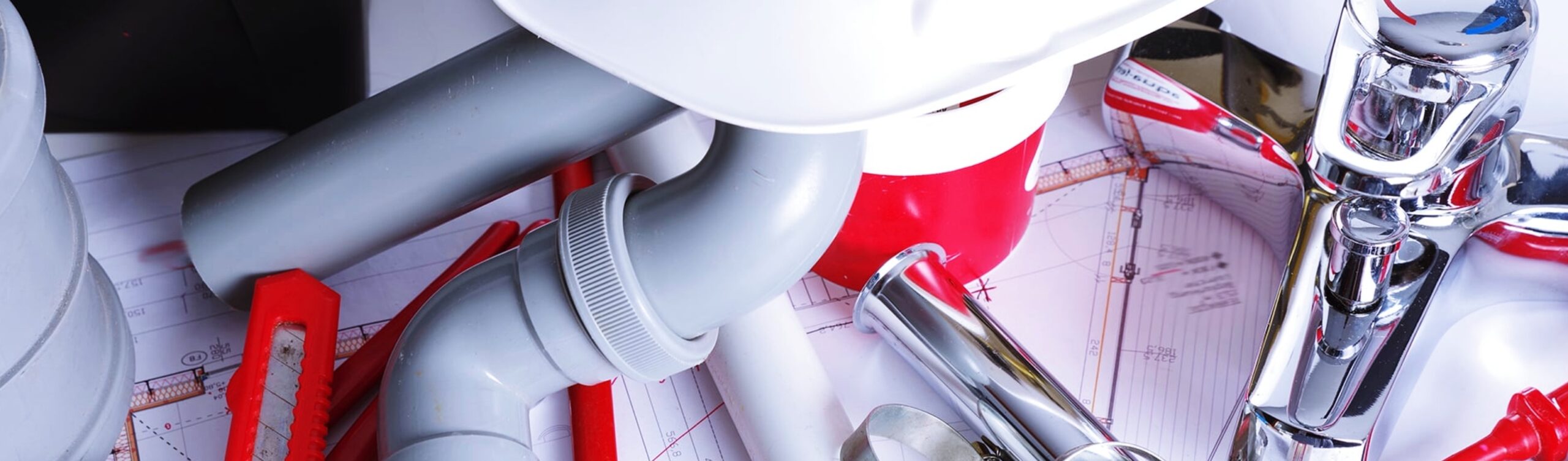 cop-aug 2022-Screen Shot 2022-08-10 at 2.07.44 AM